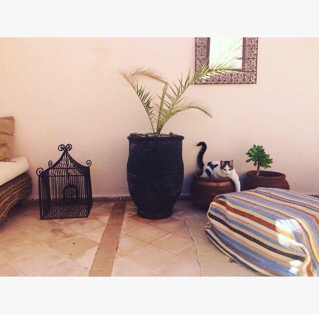 Riad Nejma Lounge Marrakesch Exterior foto