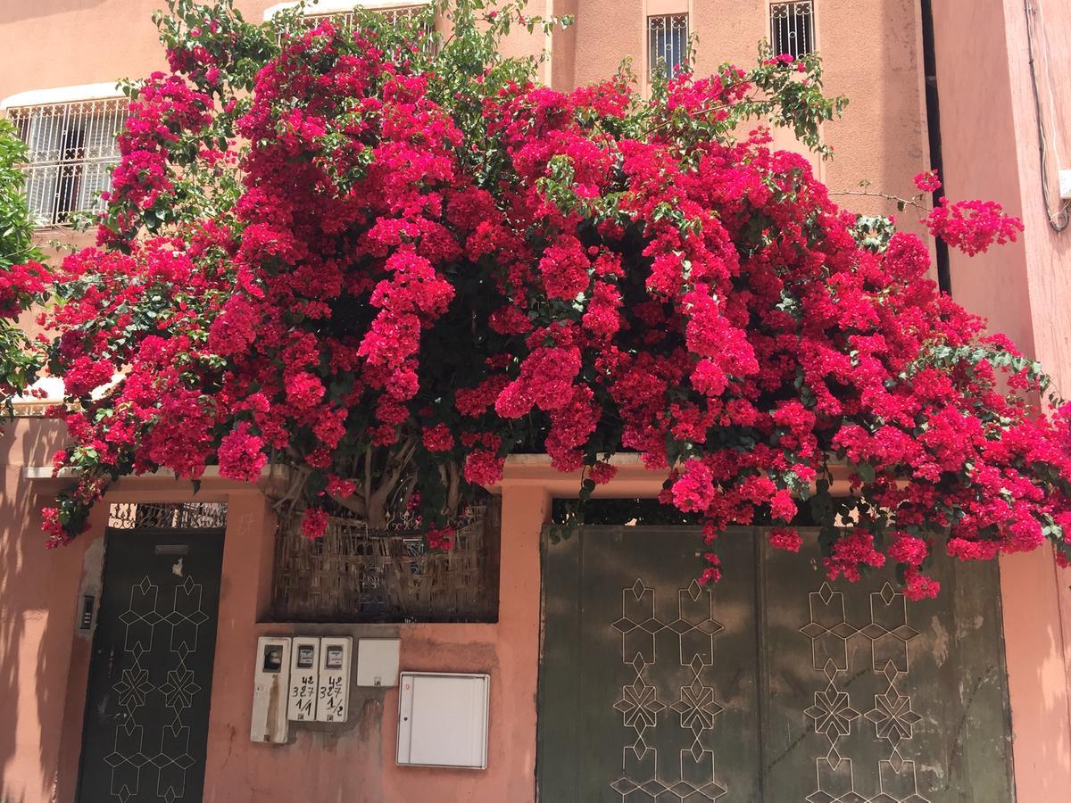 Riad Nejma Lounge Marrakesch Exterior foto
