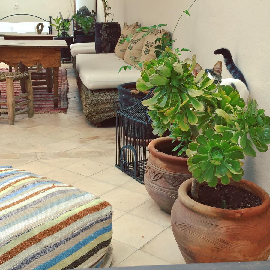 Riad Nejma Lounge Marrakesch Exterior foto